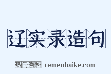 辽实录造句是什么意思的图片